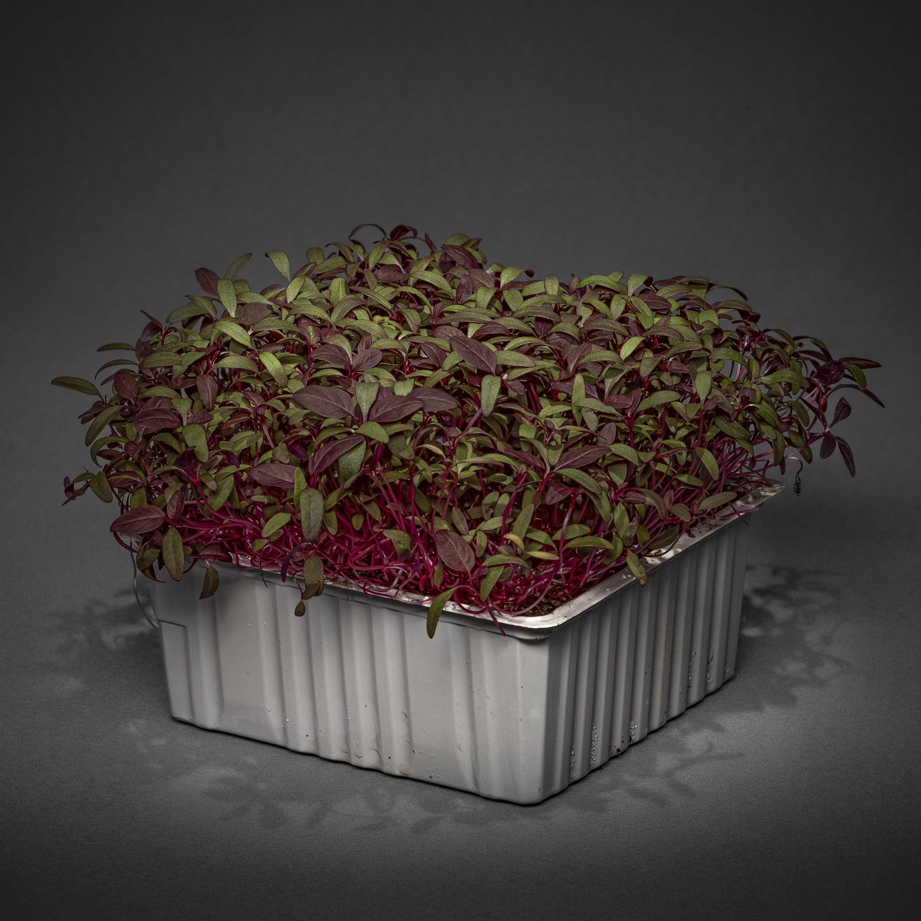 Amaranth Blatt