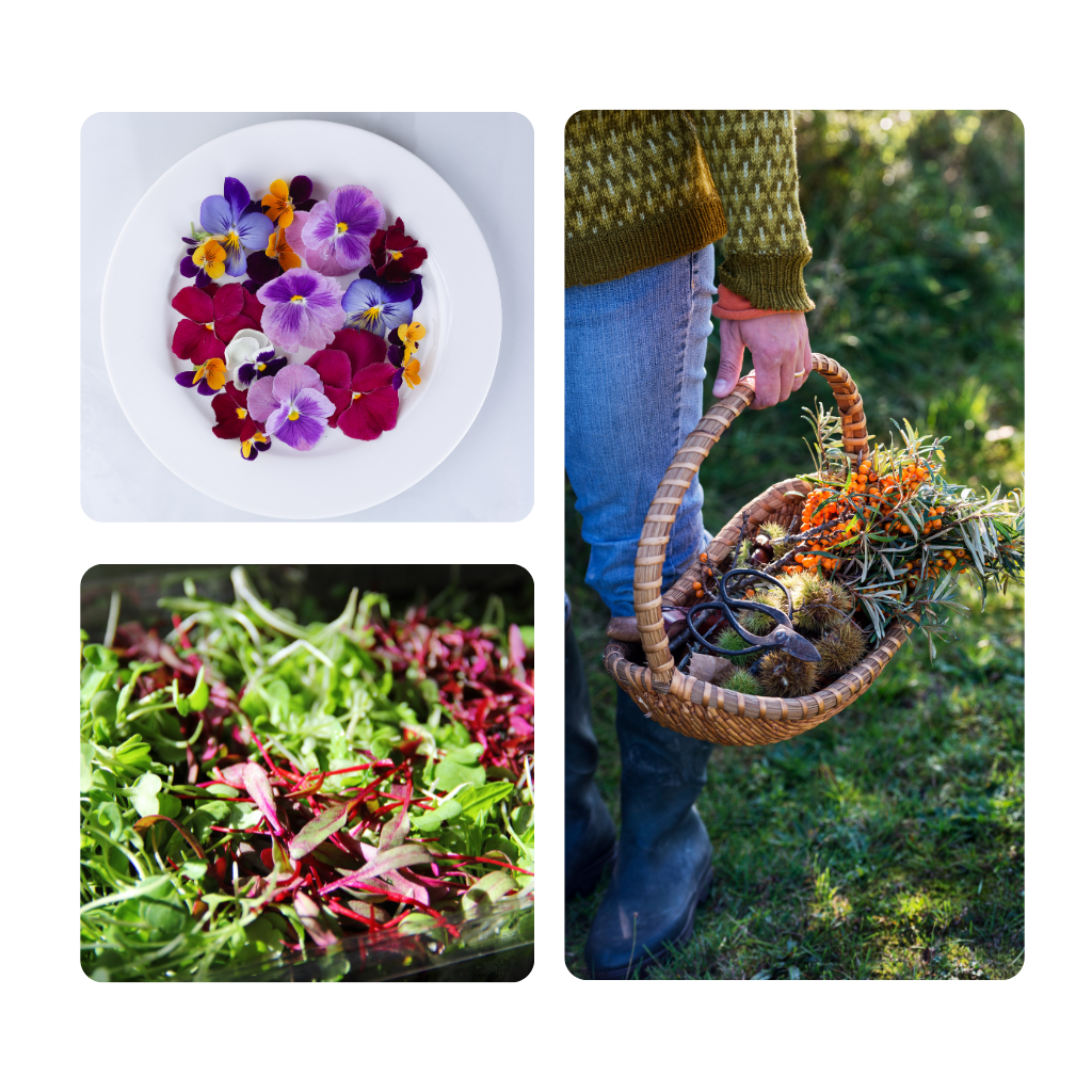 Rosa Blumen in einer Vase